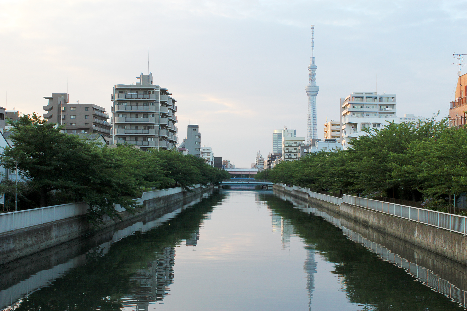 大横川とスカイツリー