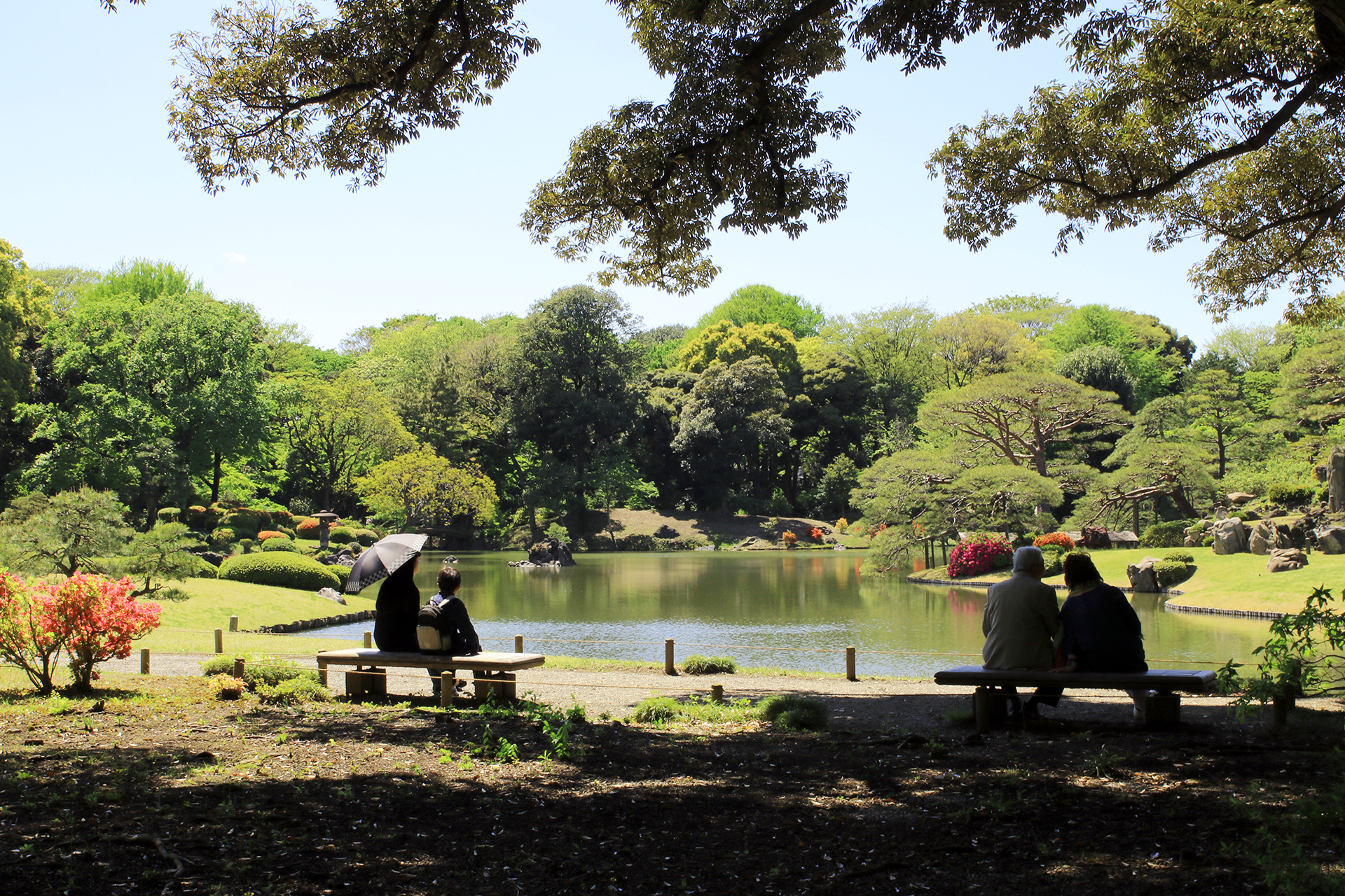 六義園、池を眺める人