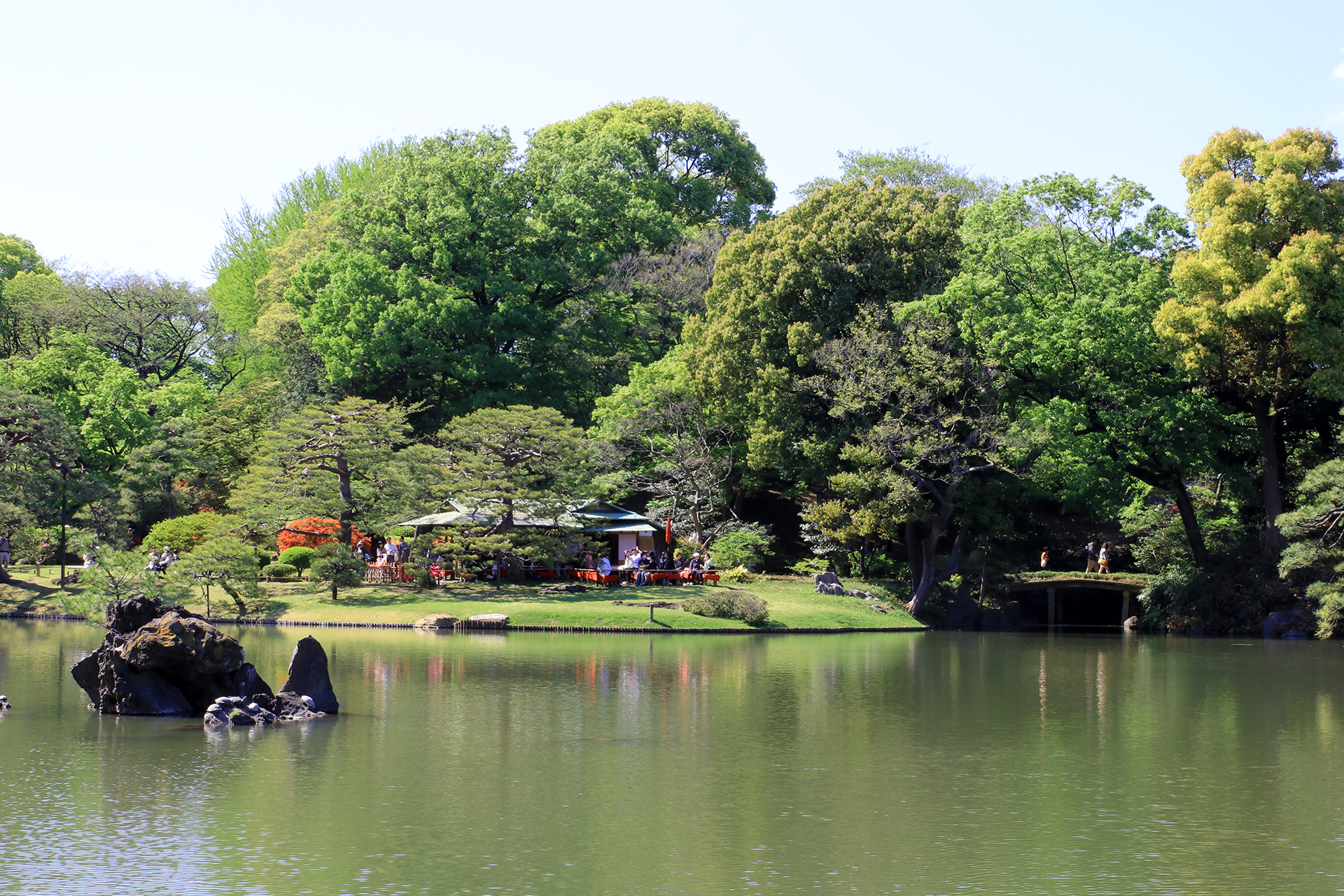 六義園の美しい池