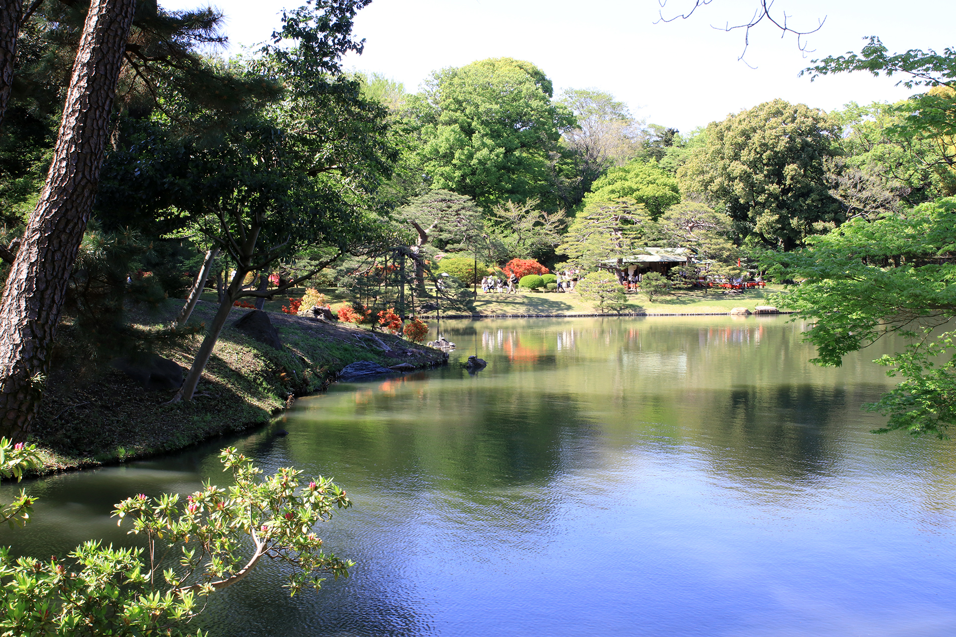 六義園の美しい池