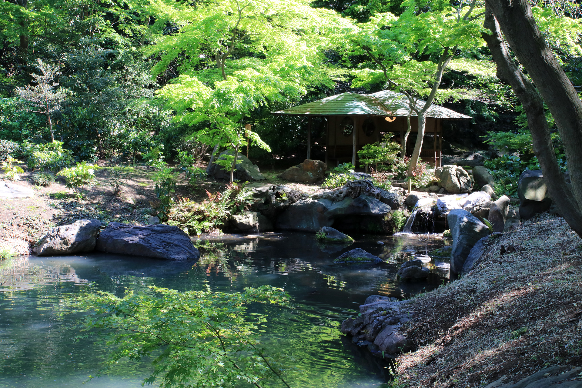 六義園