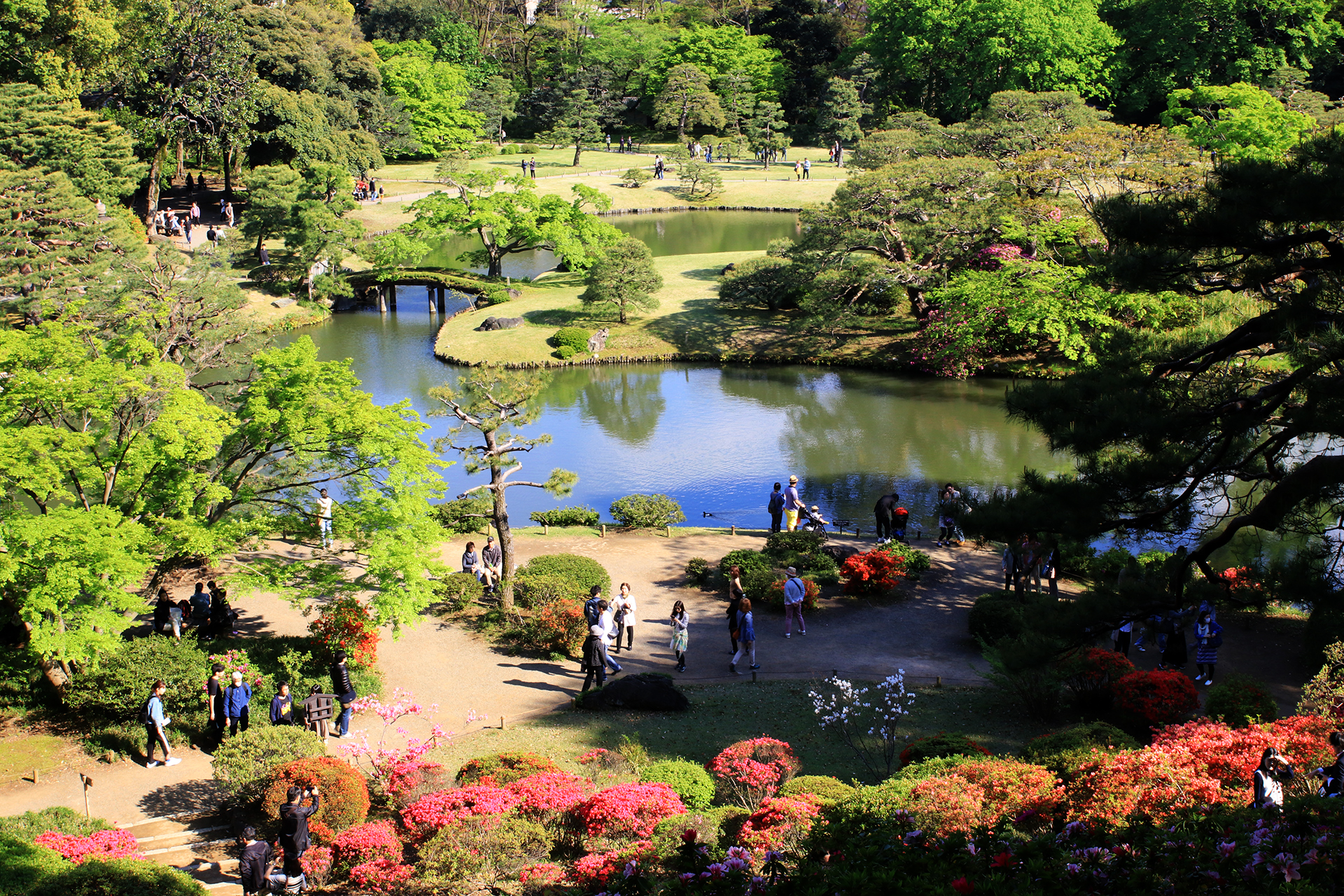 六義園の庭園