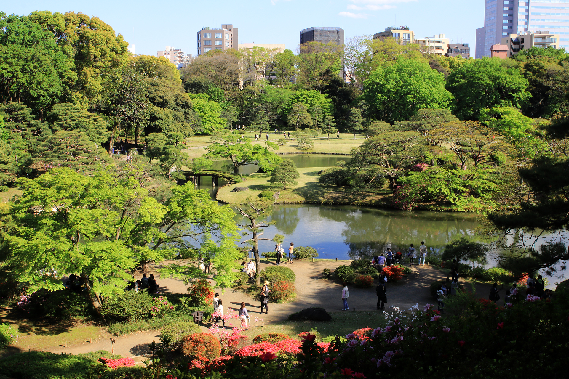 六義園と周囲のビル