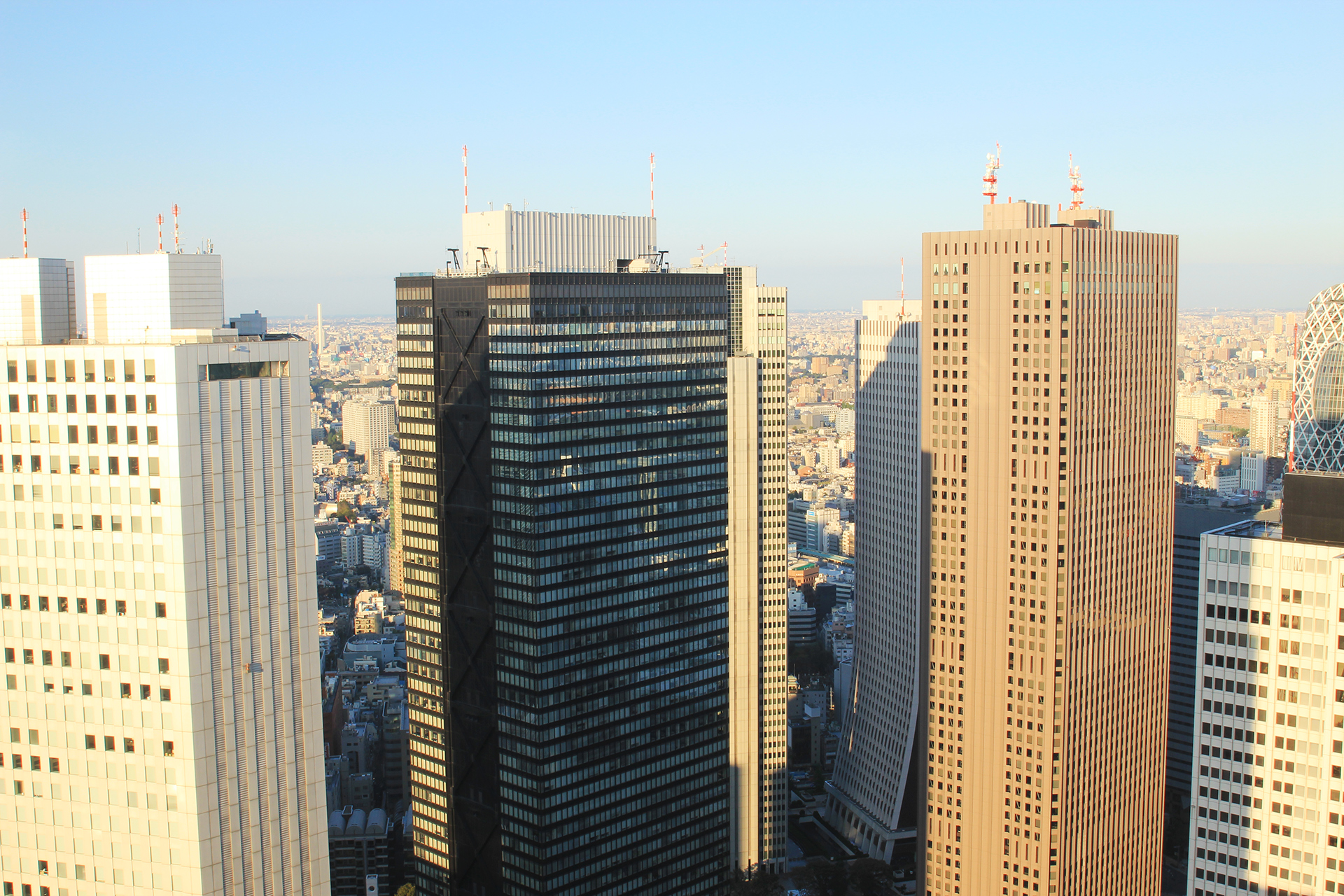 都庁からの高層ビル群