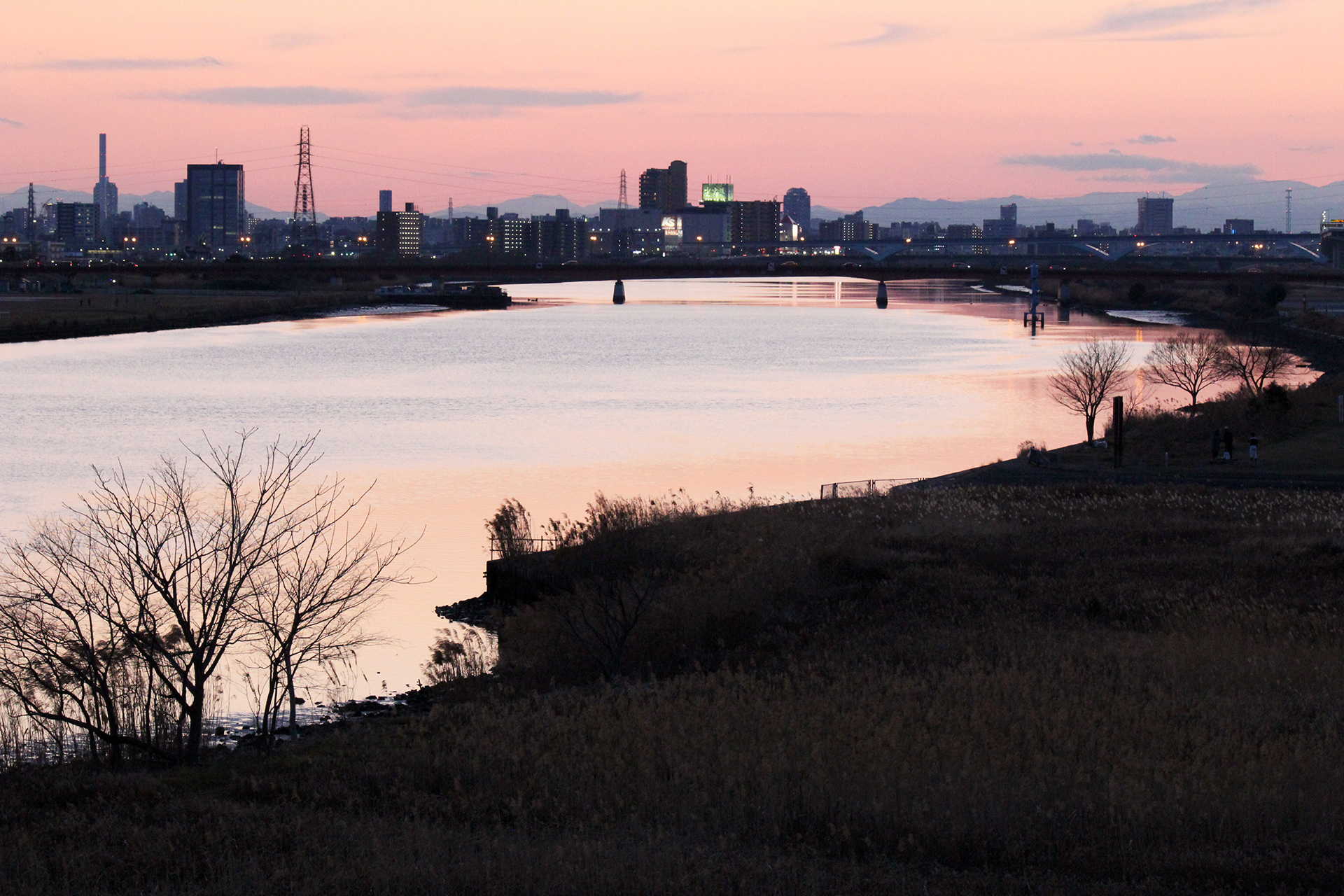 ピンクに染まる荒川