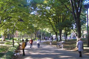 上野公園