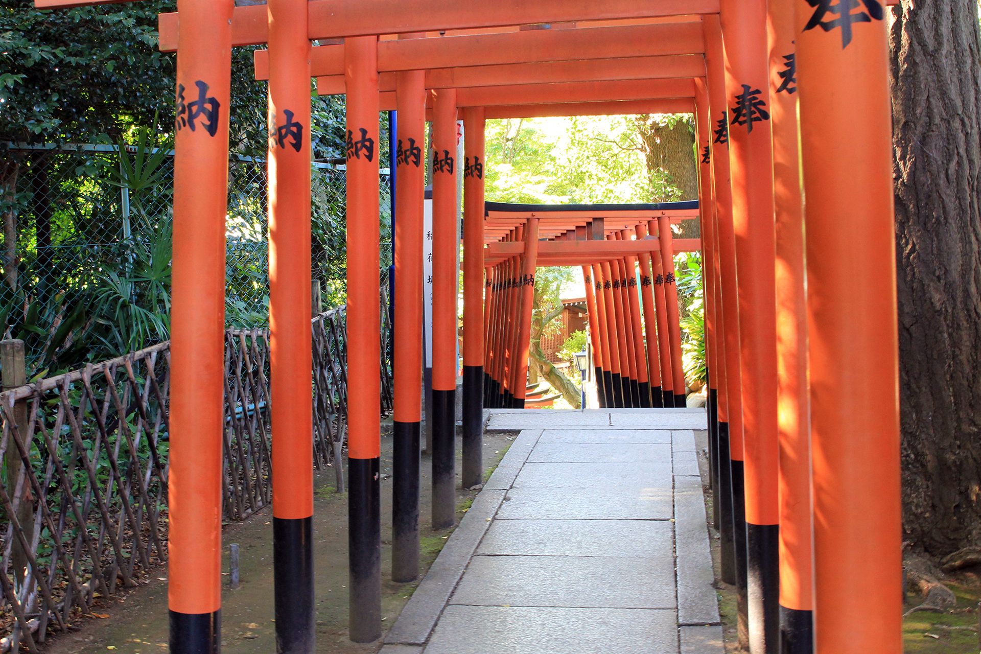 花園稲荷神社の鳥居