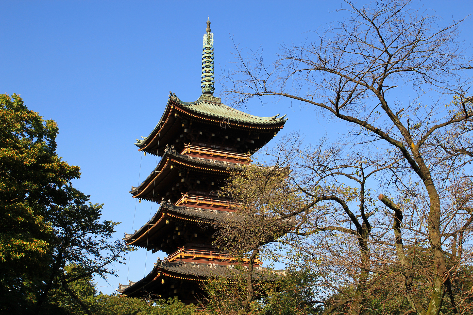 上野公園の五重の塔