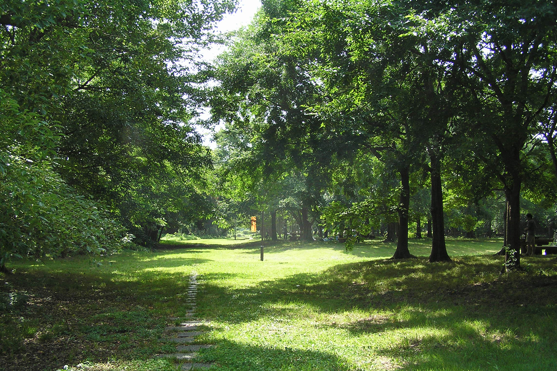 夢の島公園の緑の道